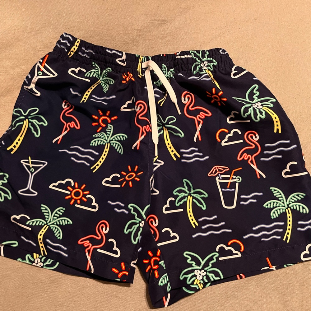 Chubbies Navy Weekend Swim Shorts